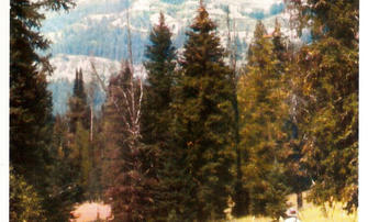 その他 Fly Fishing Adventure Washington&#39;s Klickitat [DVD] hqdefault.jpg